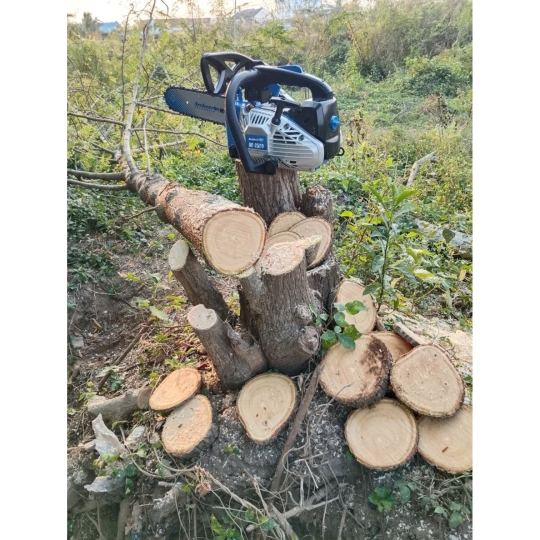 Máy cưa xích Archer AC-2500