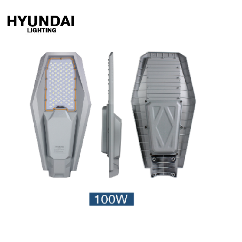 Đèn đường NLMT HLLVC-100/6.5K (100W). Hiệu: HYUNDAI