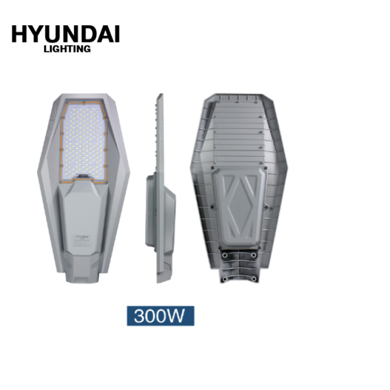 Đèn đường NLMT HLLVC-300/6.5K. Hiệu: HYUNDAI
